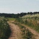 picklesohpickles avatar