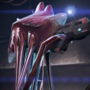 pickpocket-cow avatar