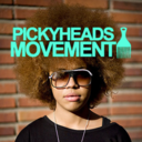 pickyheadology-blog-blog avatar