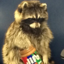 pickytrashpanda avatar