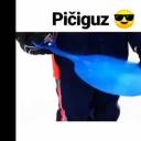 picsiguz avatar