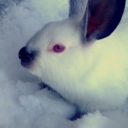 picture-appreciation avatar