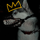 pictureperfectpuppy avatar