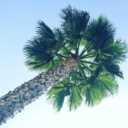 picturerandom avatar