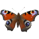 pictures-and-things-321 avatar