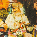 pictures-of-beachbear avatar