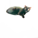 picturesofmykat avatar