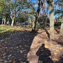 picturestakeyouplaces avatar