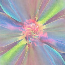 picturestomakemyheartbeat avatar