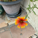 pictureswsouls avatar