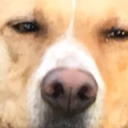 picturexthisx avatar