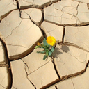 pieces-of-me-blog avatar