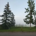 pieces-of-pie avatar