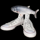 piefish avatar