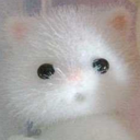 pieknego-dnia avatar