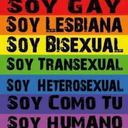 piel-de-arcoiris avatar