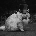 pierce-the-tony avatar