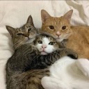 piercethehorizon63 avatar