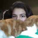 piercethepilots avatar