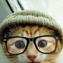 piercingsandcats avatar