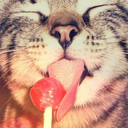 pieschenpeachpie avatar