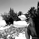 pigeon-postal-service avatar