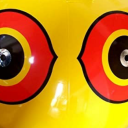 pigeon-problems avatar