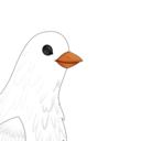 pigeon-va avatar