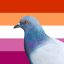 pigeonbutch avatar