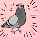 pigeoncomics avatar