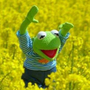 pigeonfanatic avatar