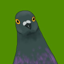 pigeonfeets avatar