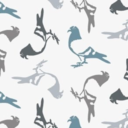 pigeonglossing avatar