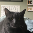 pigeonlover1234 avatar