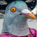 pigeonmask avatar