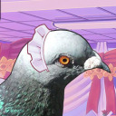pigeons-in-video-games avatar