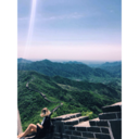 pigeonsmigeon avatar