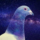 pigeonspace-blog avatar