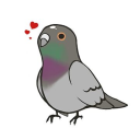 pigeonthepigeon avatar