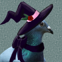 pigeonwitchery avatar