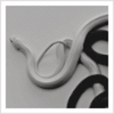 pigwithpersonality avatar