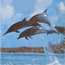 piictorialism avatar