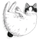 piink-sushi-blog avatar