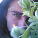 pikeneverdies avatar