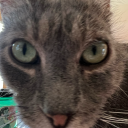 pilaf-schmeelaf avatar