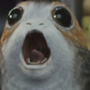 pileofporgs avatar