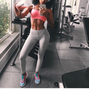 pills-and-portions avatar