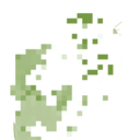 piloncillojamoncillo avatar