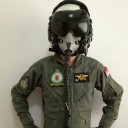 pilotsir avatar