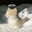 piltie-paradigm avatar